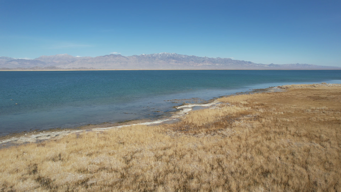 青海小柴旦湖碧绿色湖泊美景